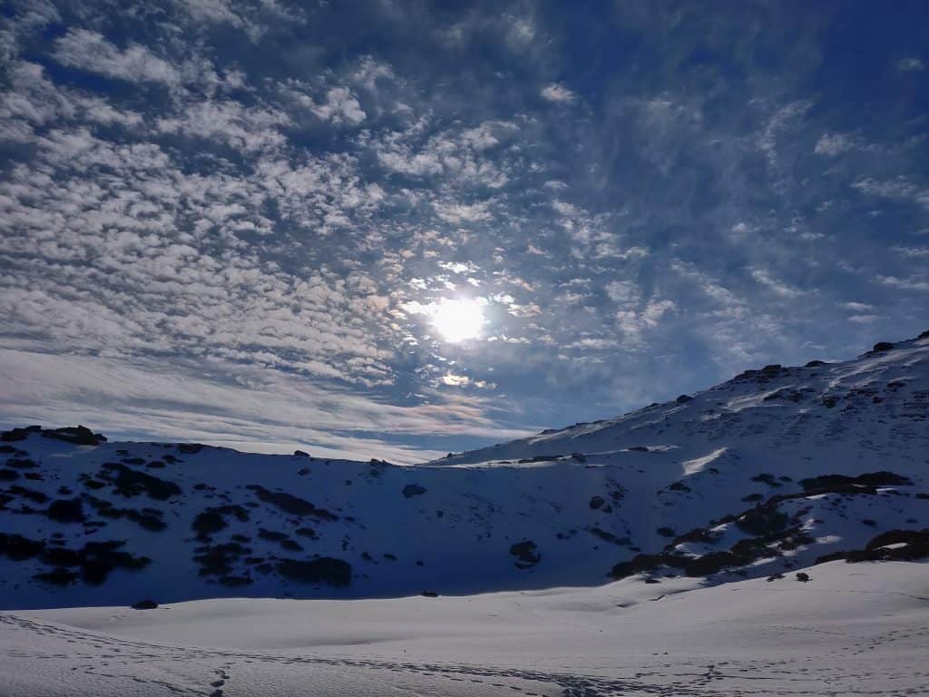 Auli