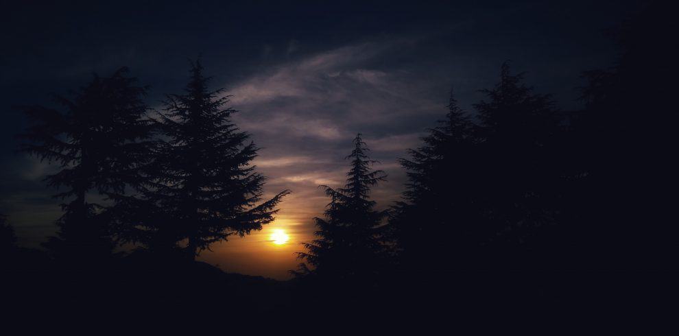 Dalhousie 1 - yourTRIPguy