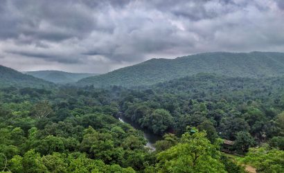Polo Forest - yourTRIPguy