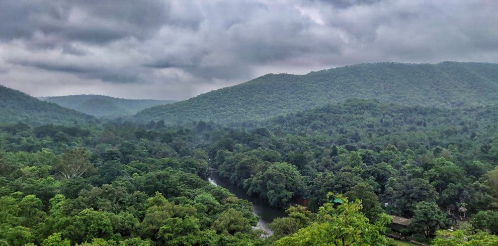 Polo Forest - yourTRIPguy