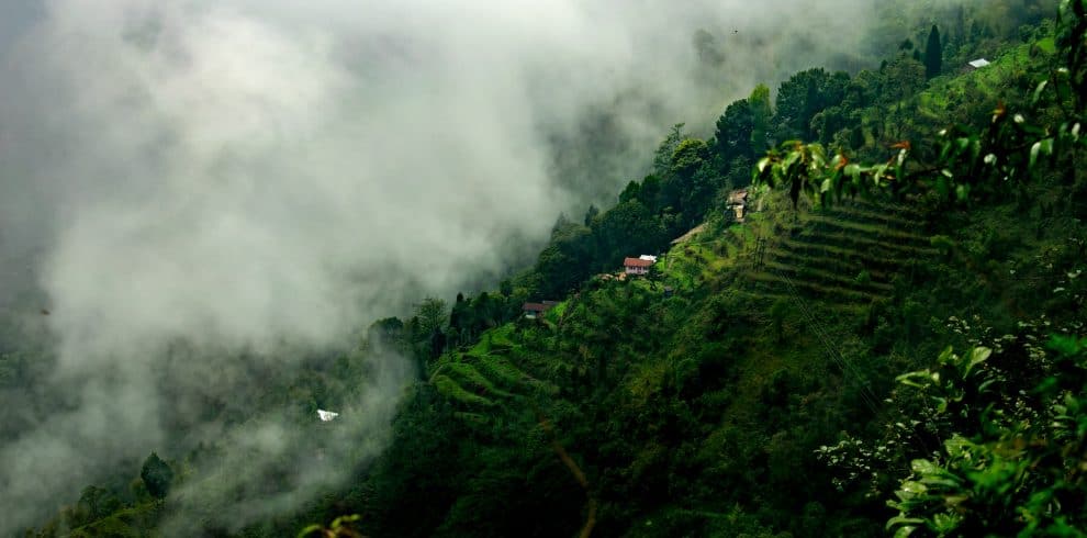 boudhayan bardhan MWgy5mOYgqU unsplash - yourTRIPguy