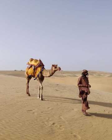 Desert Safari
