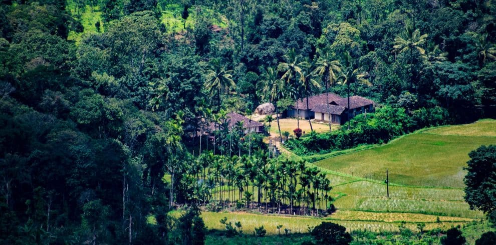 deepak srinivasan R Zi apFVsY unsplash - yourTRIPguy