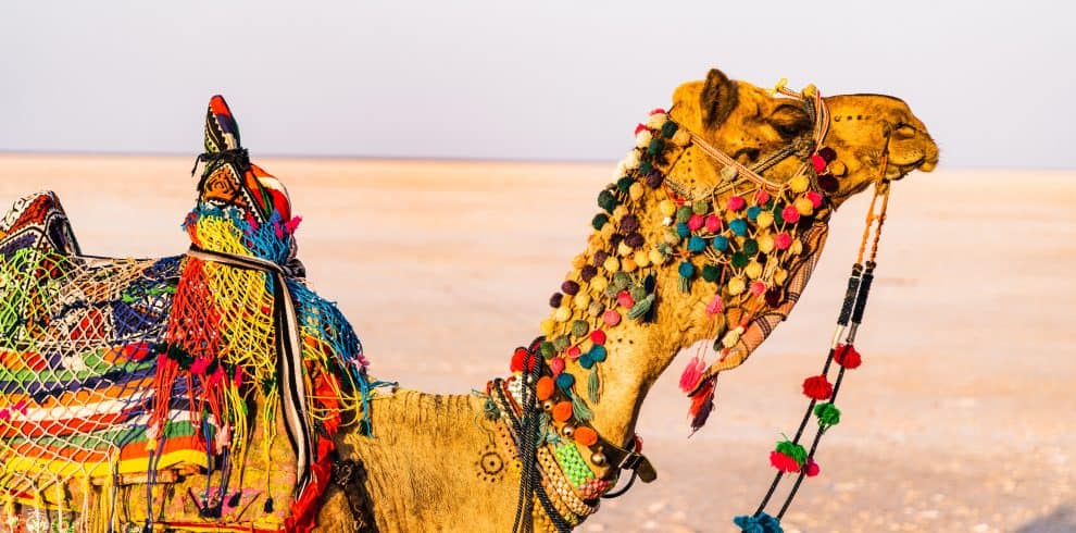 hari nandakumar 5U132F itpg unsplash - yourTRIPguy